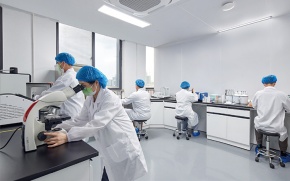 R&D Capability