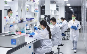R&D Capability